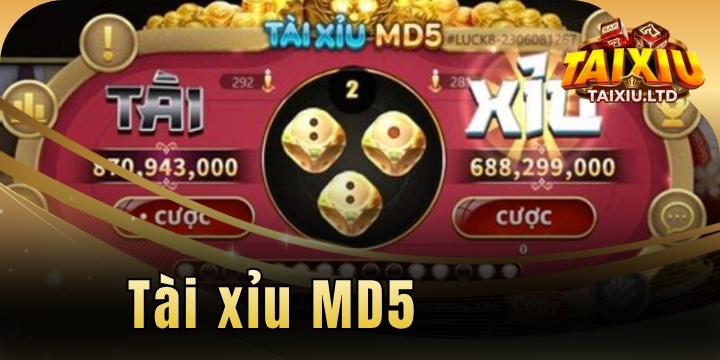 tai xiu MD5 2026 moi nhat